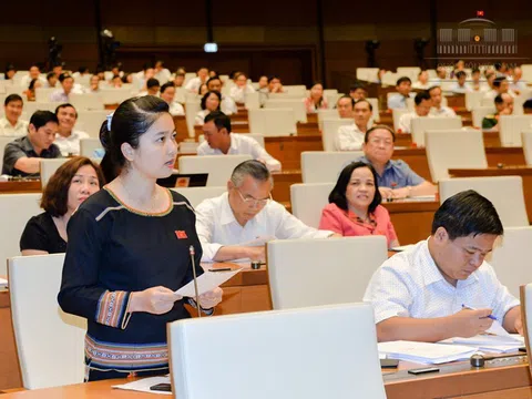 “Đất rừng còn mang bán, trồng rừng bằng niềm tin sao?"