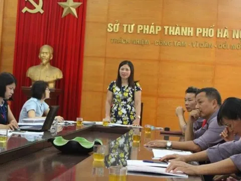 Hà Nội: Thanh tra 10 doanh nghiệp bán đấu giá tài sản