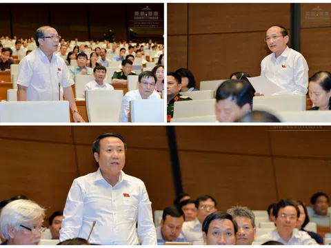 Dự án đầu tư đắp chiếu: Đề nghị truy trách nhiệm hình sự với cả cán bộ nghỉ hưu