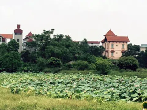 Bắt đối tượng vụ “biến” gần 1.000m2 đất công thành đất tư