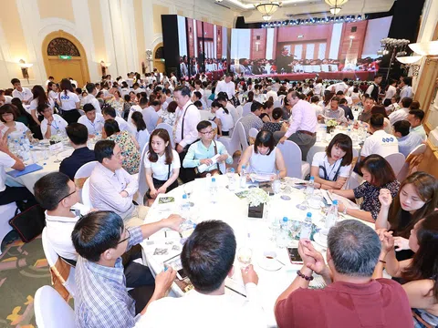 100% căn hộ FLC Grand Hotel Hạ Long đợt ra hàng đầu tiên có chủ