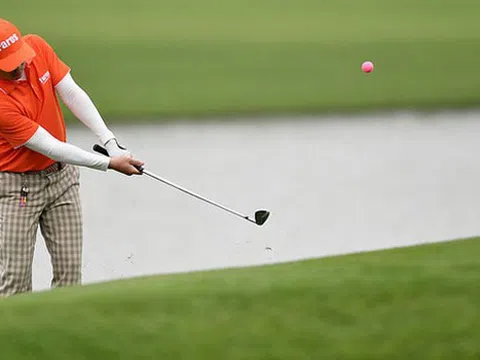 FLC Faros đã hoàn tất mua gần 25% vốn AMD