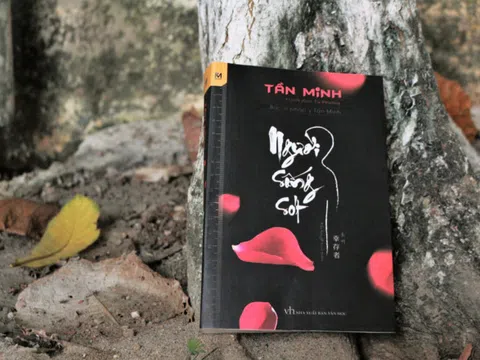 Bước vào thế giới trinh thám của Tần Minh