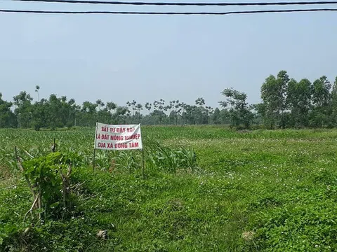 14 cựu cán bộ tại Đồng Tâm giao sai hàng ngàn m2 đất, "ăn" tiền tỉ