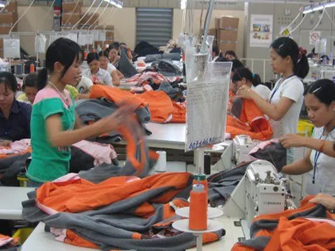 Không nên can thiệp hành chính vào thị trường lao động