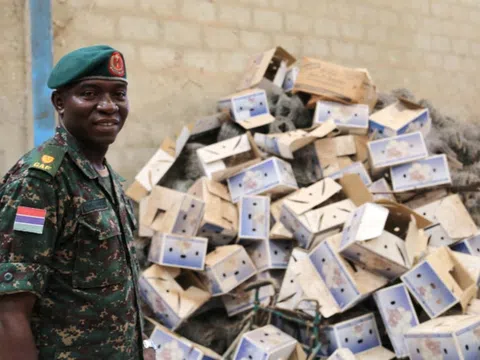 Gambia truy lùng tài sản khổng lồ của cựu 'tổng thống tỷ năm'