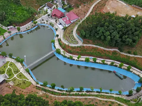 Thủ tướng chỉ đạo xử lý nghiêm vụ tiêu cực ở Yên Bái