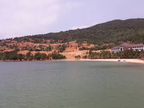 Quy định pháp luật về chuyển đổi đất rừng để làm Dự án kinh tế: Chuyên gia chỉ ra hàng loạt lỗ hổng và kiến nghị sửa Luật