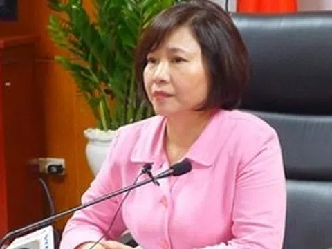 Khối tài sản khổng lồ của bà Hồ Thị Kim Thoa có nguồn gốc từ đâu?