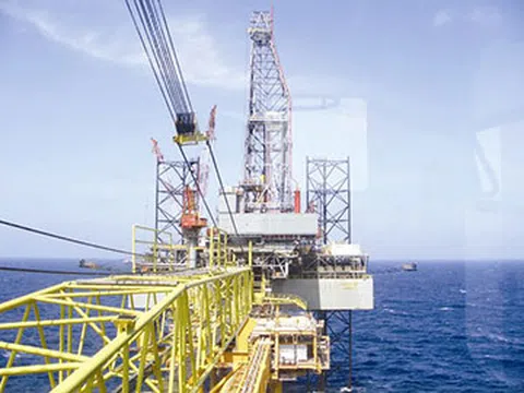 'Luật ngầm' PetroVietnam