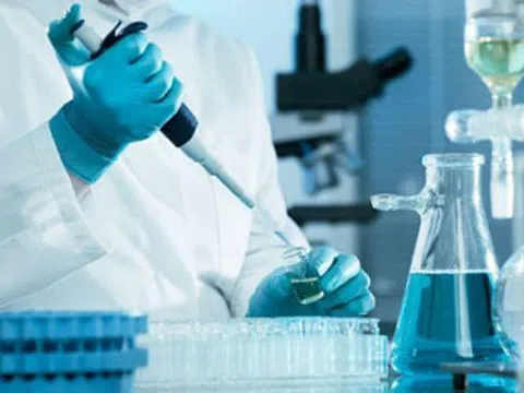 Bài 16: Những quy định thể hiện tính nhân đạo sâu sắc