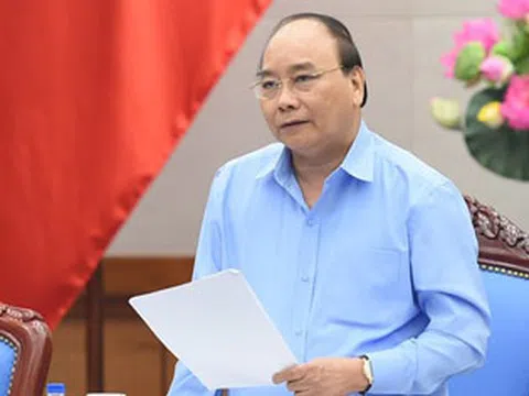 Thủ tướng yêu cầu 'truy' rõ trách nhiệm tập thể, cá nhân để xảy ra phá rừng