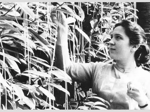 5 tin giả từng gây hoang mang trong lịch sử