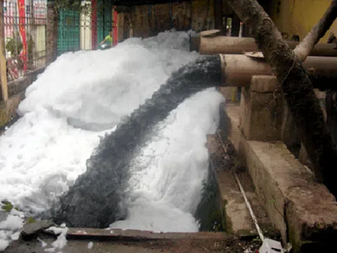 Bài 17 - Trách nhiệm hình sự đối với pháp nhân: Phạt tiền và đình chỉ hoạt động là 2 hình phạt chính