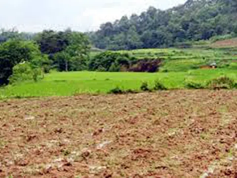 Chuyển mục đích sử dụng từ đất nông nghiệp sang đất ở cần điều kiện gì?