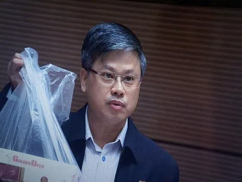 'Chính quyền chủ động phá rừng mới thật ghê gớm!'