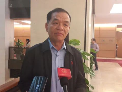 Trưởng Đặc khu kinh tế: Xã hội không thiếu người tài, nhưng cần khung khổ pháp lý!