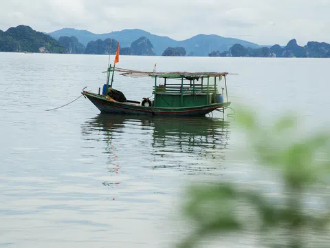 Đặc khu kinh tế: Động lực mới cho nền kinh tế