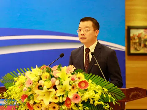 Tổng giám đốc FLC: Phát triển và bảo tồn không phải hai mệnh đề đối ngược