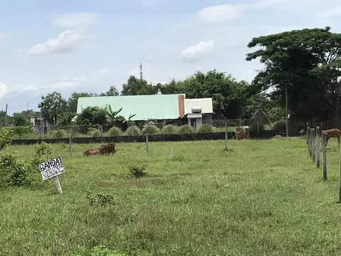 TP.HCM chính thức ban hành quyết định tách thửa mới