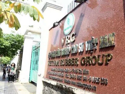 Khởi tố nguyên Chủ tịch HĐTV Tập đoàn Cao su Việt Nam