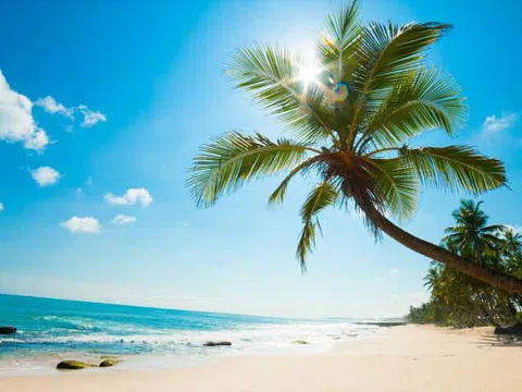 Hấp dẫn như tour đảo Nam Phú Quốc