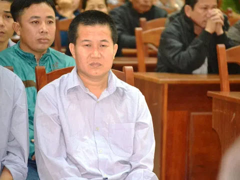 Tòa quân sự xét xử 21 người phá rừng pơ mu ở Quảng Nam