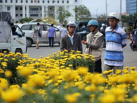 Rộn ràng tết 3 miền