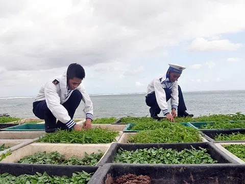 Sức sống Trường Sa