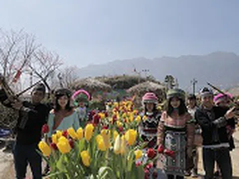 Du khách choáng ngợp trước đại địa lan 314 cành ở Sun World Fansipan Legend