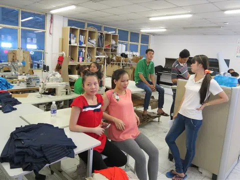 Thanh tra thu về hàng trăm tỉ đồng tiền nợ BHXH