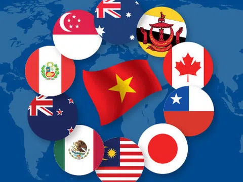 Các tổ chức quốc tế nhận định gì về tác động của CPTPP tới Việt Nam?