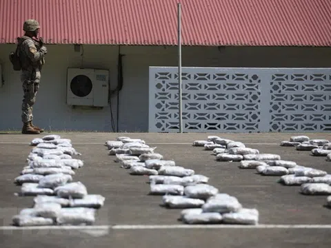 Paraguay tịch thu gần 10 tấn cần sa vận chuyển tới Argentina