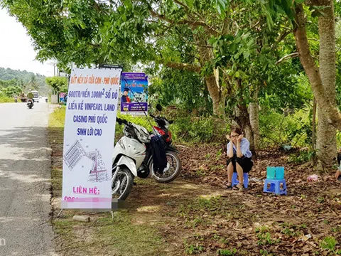 Phó thủ tướng chỉ đạo thanh tra đất nông nghiệp ở Phú Quốc