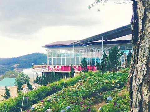 Nhà hàng trên đồi ngắm khắp Đà Lạt thơ mộng