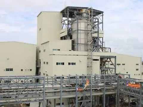 Tại sao Tổng Bí thư và Ban Chỉ đạo đề cập xử lý 3 vụ liên quan PVN