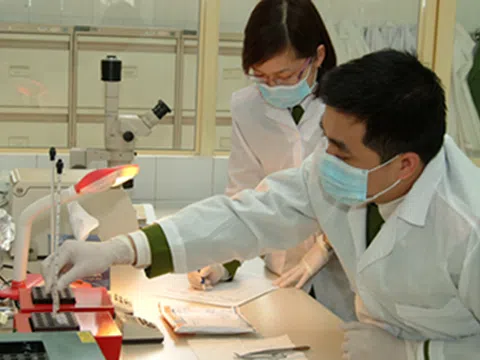 Giá trị pháp lý của bản kết luận giám định