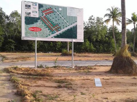 Xử lý 238 tập thể, 944 cá nhân sai phạm về đất đai