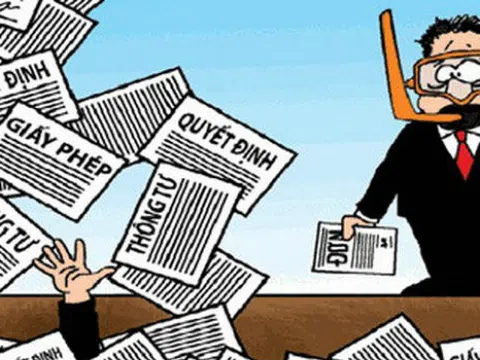 Đã cắt bỏ và đơn giản hóa được 738 điều kiện kinh doanh