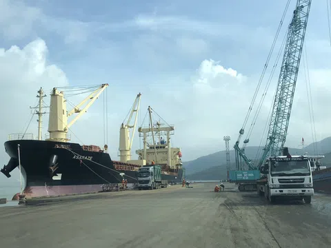 Sau lùm xùm, cảng Quy Nhơn thay đổi hàng loạt nhân sự