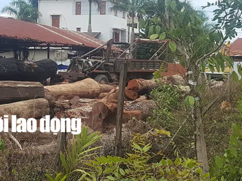 Gỗ lậu của trùm Phượng "râu" đi qua hàng loạt trạm kiểm lâm, công an, biên phòng