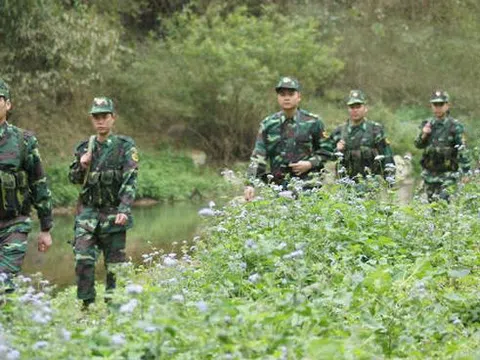 Chuyện đánh án của lực lượng chống tội phạm bộ đội biên phòng