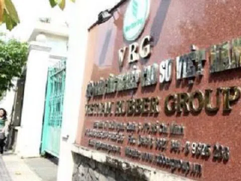 Điều tra cựu sếp Tập đoàn Cao su góp vốn vào Cty 'sân sau'