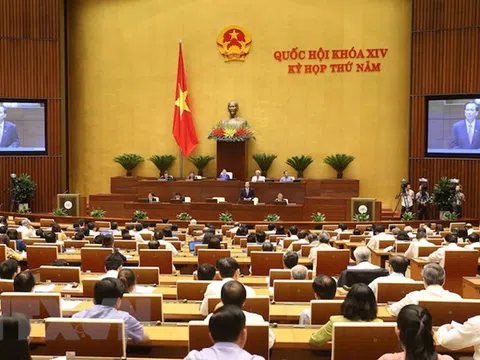 Những trường hợp xâm hại tình dục kể cả người bị hại sẽ được xét xử kín