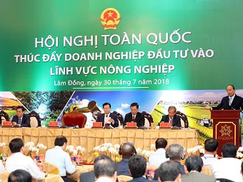 Chính phủ và cộng đồng doanh nghiệp cần chung sức để đưa Việt Nam vươn lên vị trí hàng đầu thế giới về nông sản