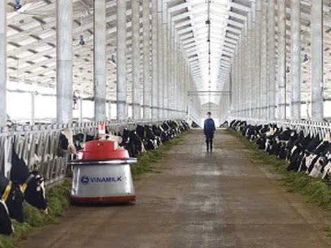 Vinamilk tiên phong giới thiệu sữa tươi 100% A2 đầu tiên tại Việt Nam