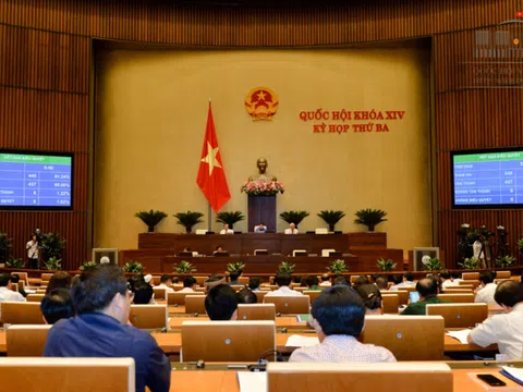 Bổ sung quy định thi hành án hình sự đối với pháp nhân thương mại bị kết tội và tha tù trước thời hạn có điều kiện vào Luật Thi hành án hình sự