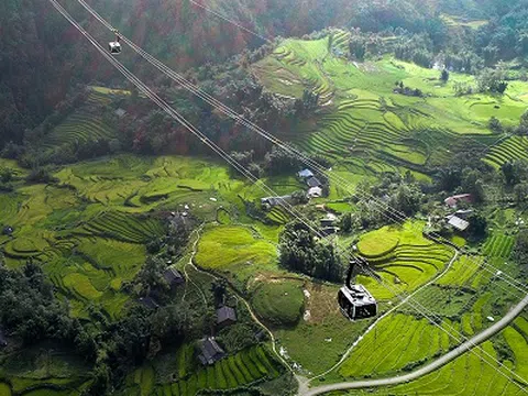 Ngắm Fansipan đẹp lạ mùa lúa chín