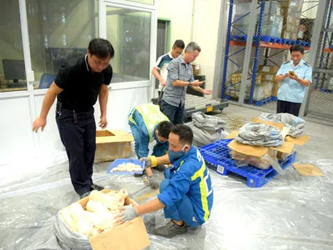 Bắt giữ số lượng lớn ngà voi, tê tê tại Cửa khẩu Sân bay quốc tế Nội Bài