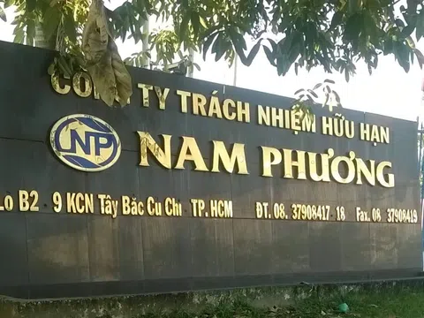 Bảo hiểm xã hội Việt Nam:  Kiên quyết đề nghị xử lý hình sự doanh nghiệp chây ỳ, nợ đọng BHXH kéo dài